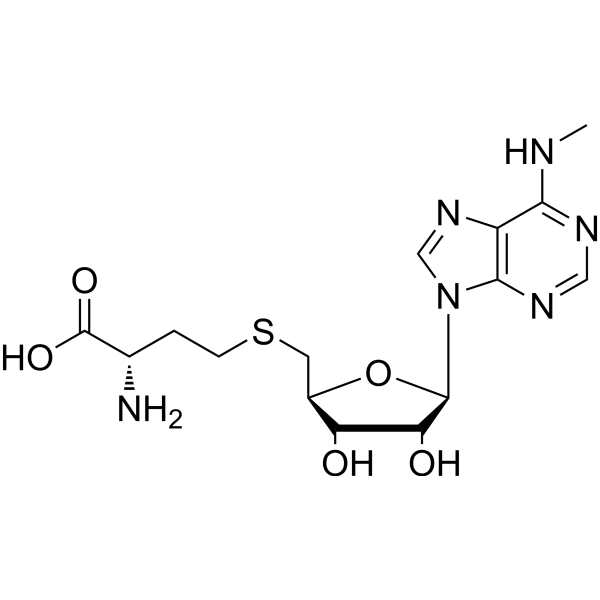 S-N6-Methyladenosylhomocysteine 53228-06-1